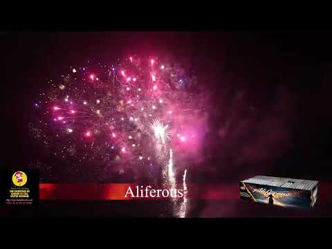 Aliferous 238 shots Barrage Cake